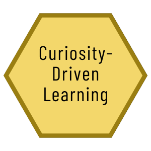 Curiosity-Driven Learning