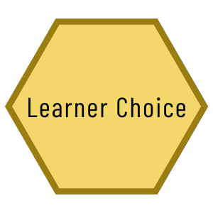 Learner Choice