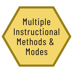 Multiple Instructional Methods and Modes