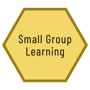 Small Group Learning