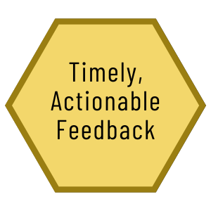 Timely, Actionable Feedback