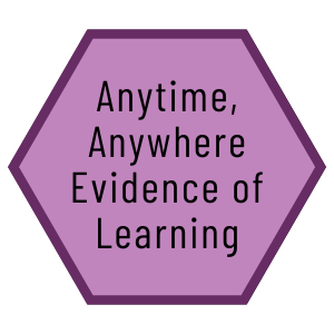 Anytime, Anywhere Evidence of Learning